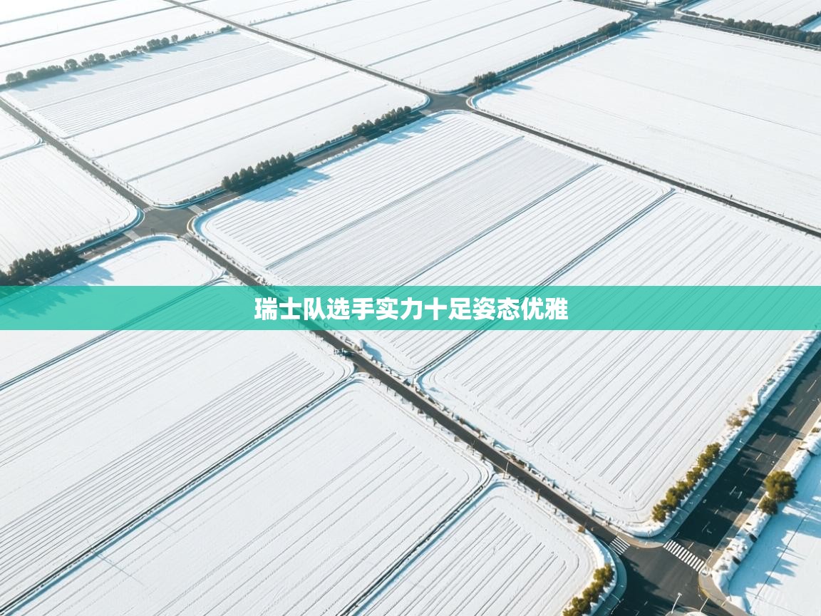 瑞士队选手实力十足姿态优雅