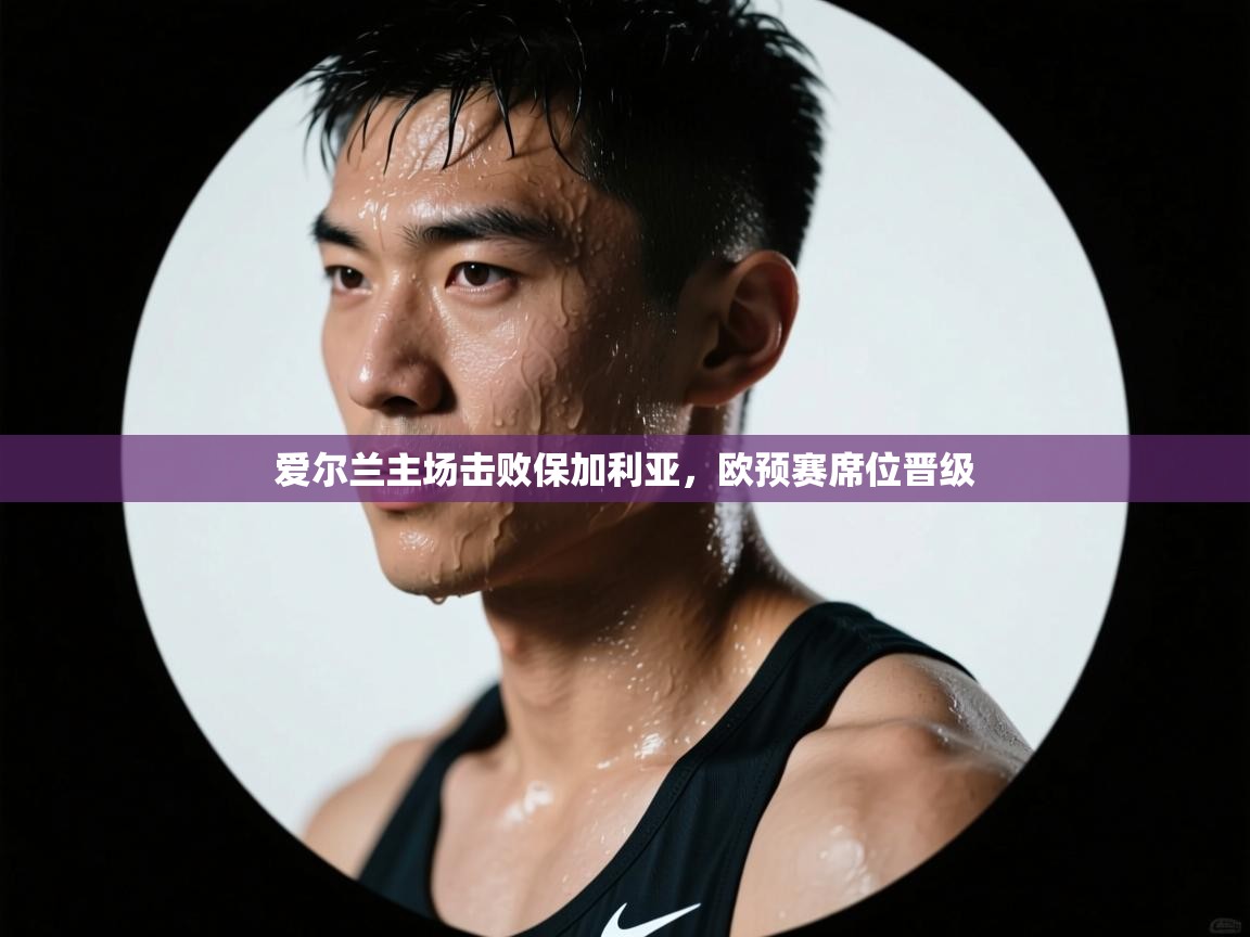 爱尔兰主场击败保加利亚，欧预赛席位晋级  第2张