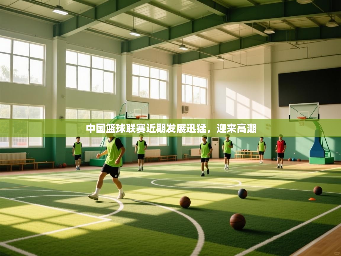 中国篮球联赛近期发展迅猛，迎来高潮  第2张
